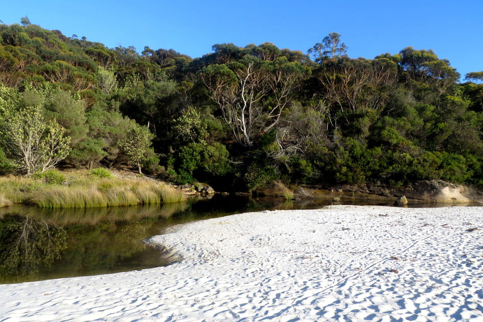 La plage de Hyams en Australie