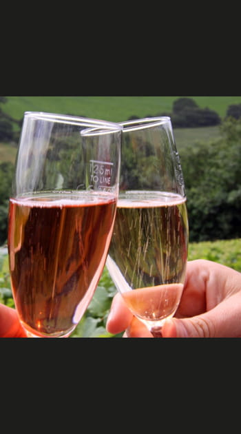 S'initier &agrave; la d&eacute;gustation du champagne