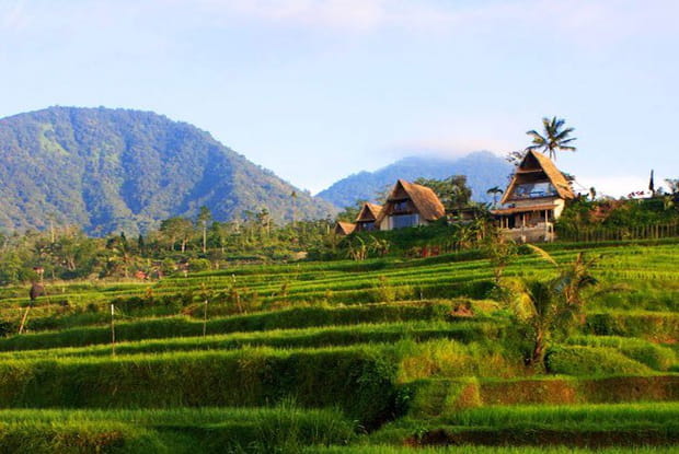 Le Desa Atas Awan à Bali