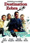 Destination Zebra