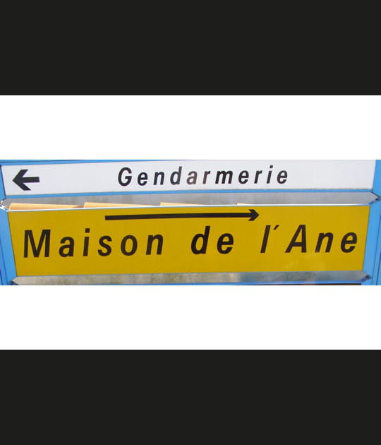 Aucun rapport bien s&ucirc;r