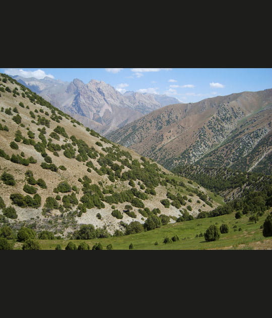 Les montagnes de l'est