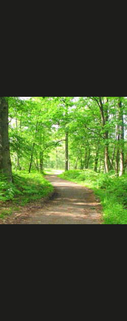 Sport et nature
