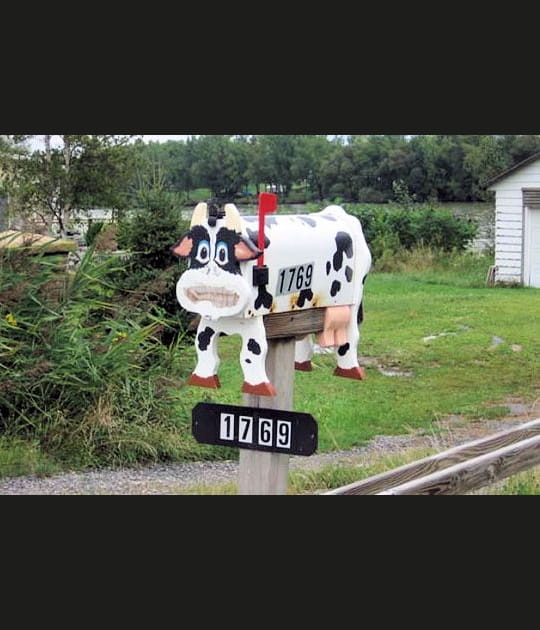 La vache, y a plein de courrier&nbsp;!
