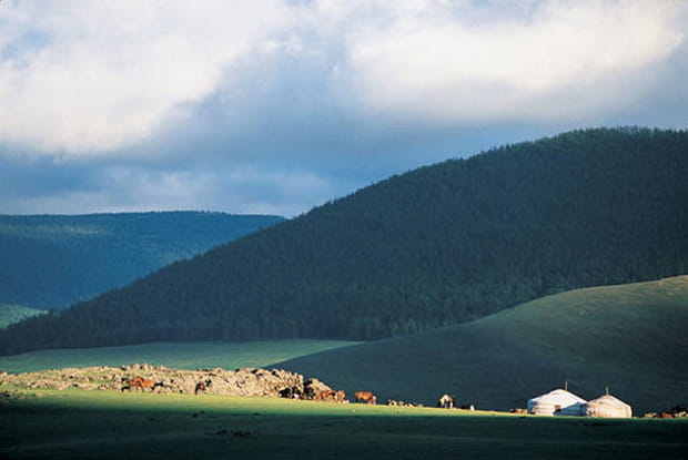 A travers la lumière
