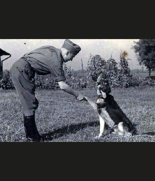 Avec son berger allemand