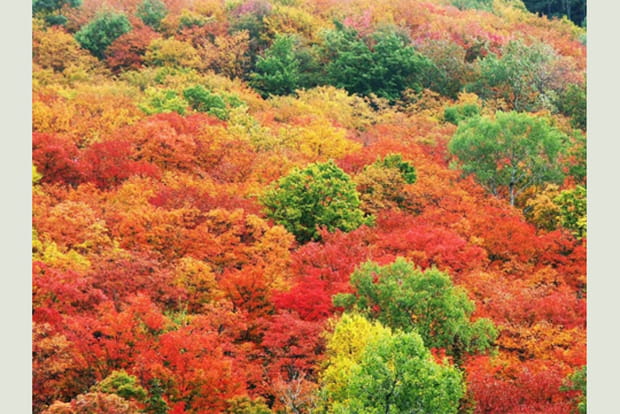 Parc du Mont-Tremblant