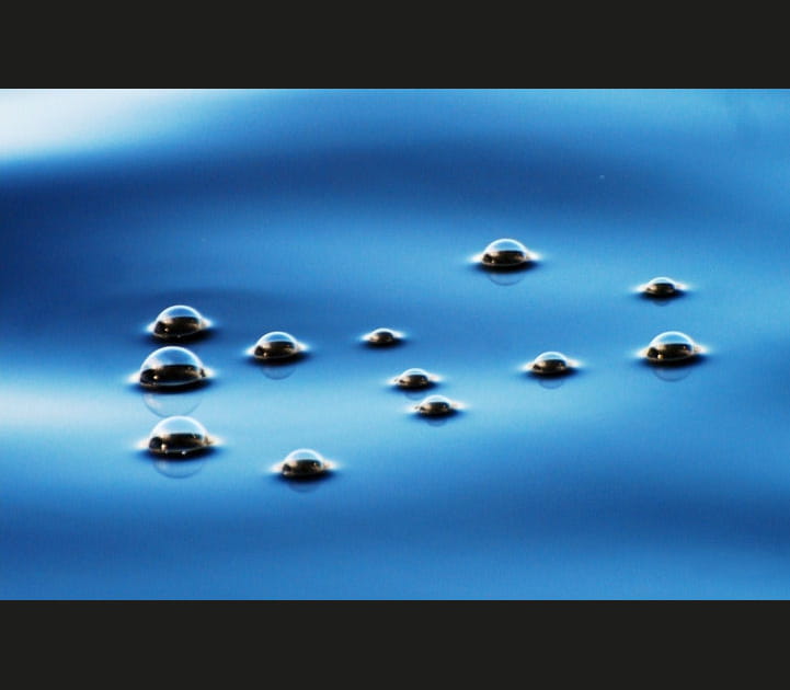 Tout un monde de bulles