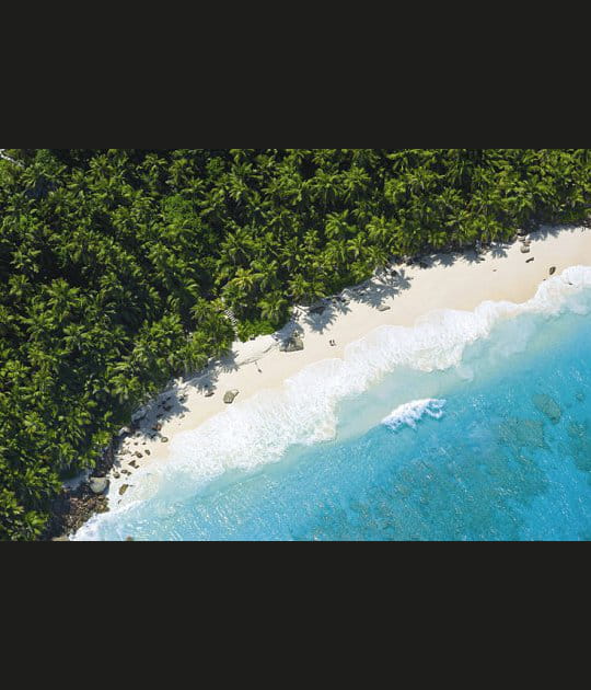 Fregate Island&nbsp;: une &icirc;le priv&eacute;e aux Seychelles