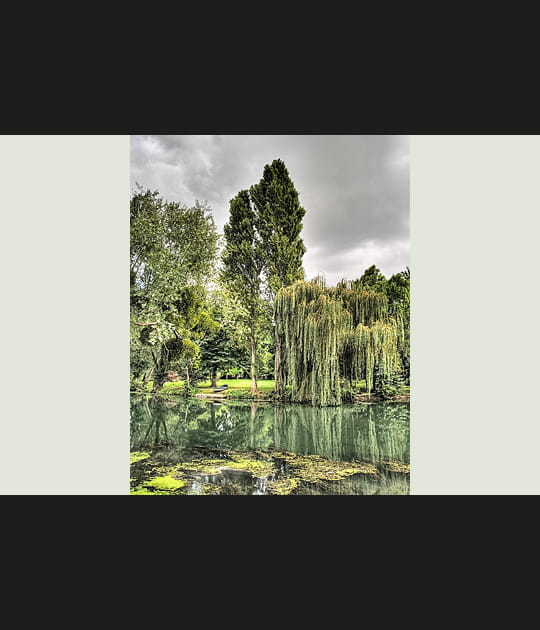 Un endroit vert