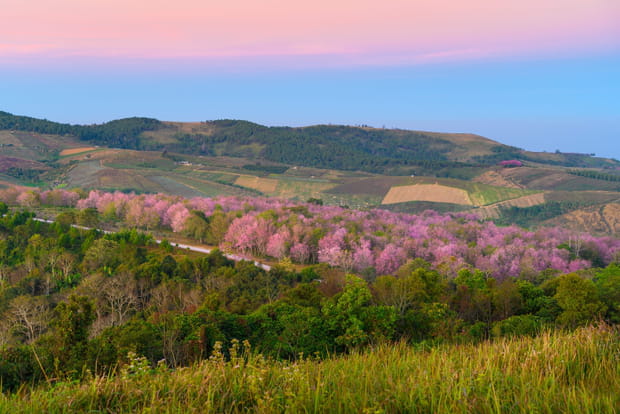 Le parc national de Phu Hin Rong Kla