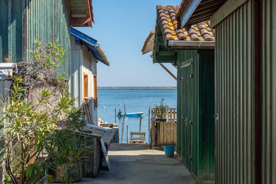 L'&Icirc;le aux Oiseaux