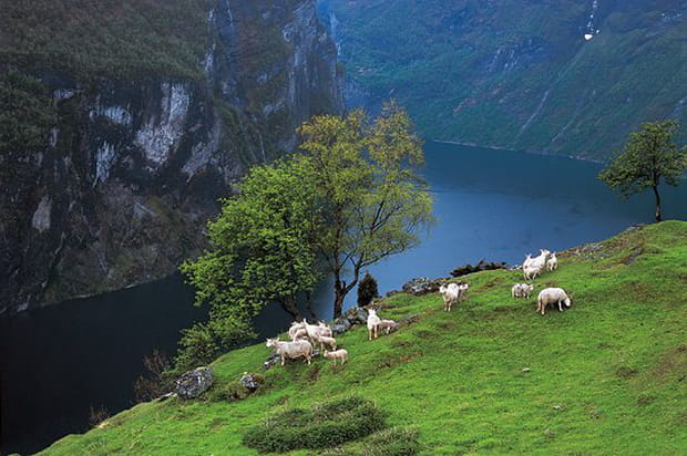 Geirangerfjord