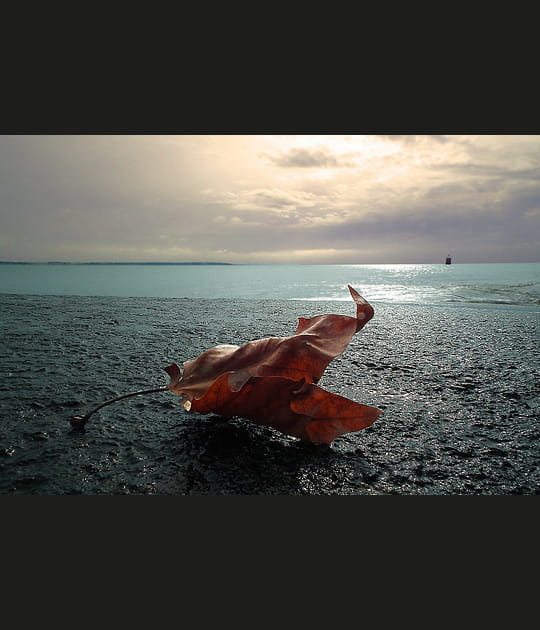 La mer l'emportera