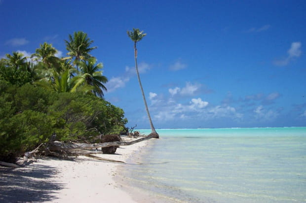 Plage de Tetiaroa