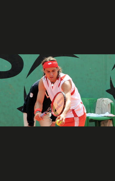 Le &quot;terrien&quot;&nbsp;: David Ferrer