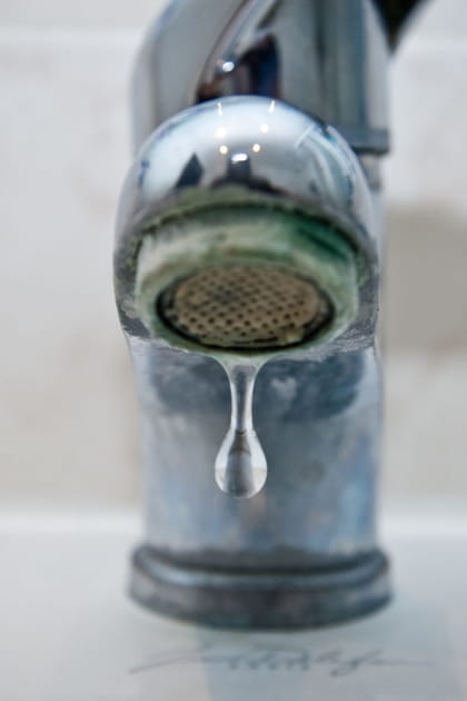 Profiter du m&eacute;nage de printemps pour &eacute;liminer les traces de calcaire