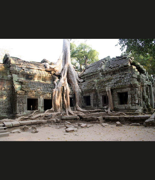Angkor