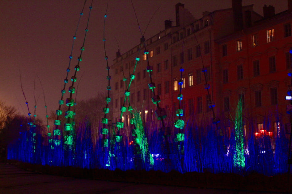 Arborelum sur la place Louis Pradel