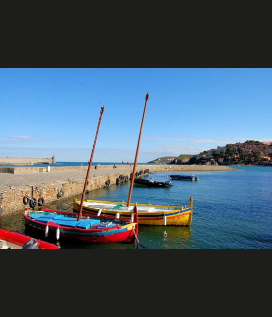 Collioure