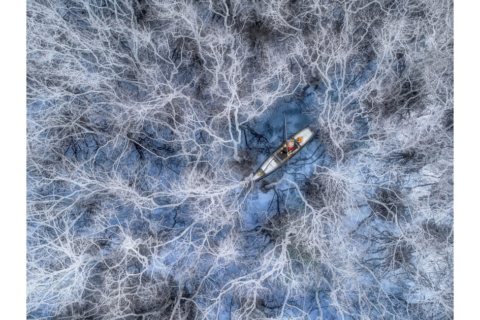 P&ecirc;cher dans une for&ecirc;t de pal&eacute;tuviers