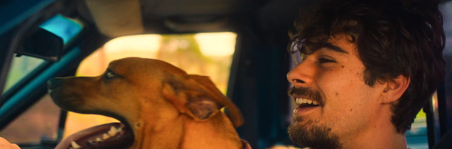 Caramelo&nbsp;: l'histoire d'amiti&eacute; &eacute;mouvante entre un jeune chef br&eacute;silien malade et son chien sur Netflix