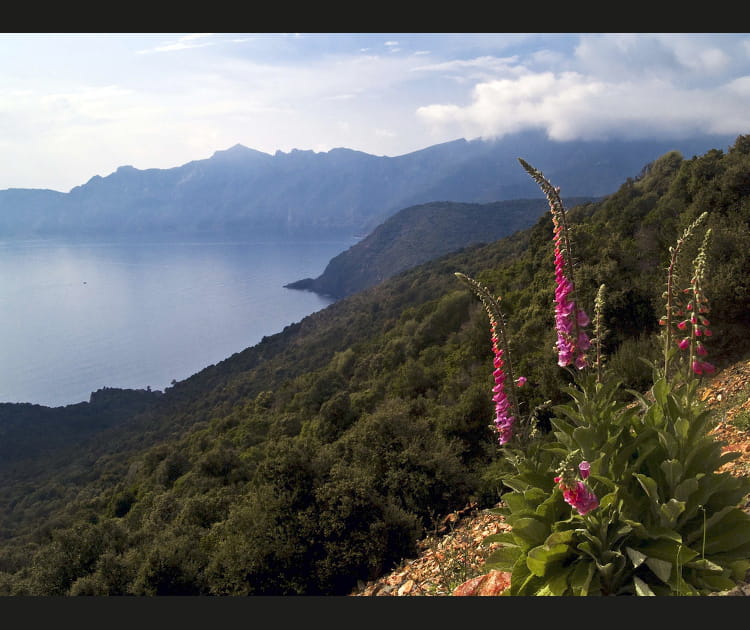 La Balagne