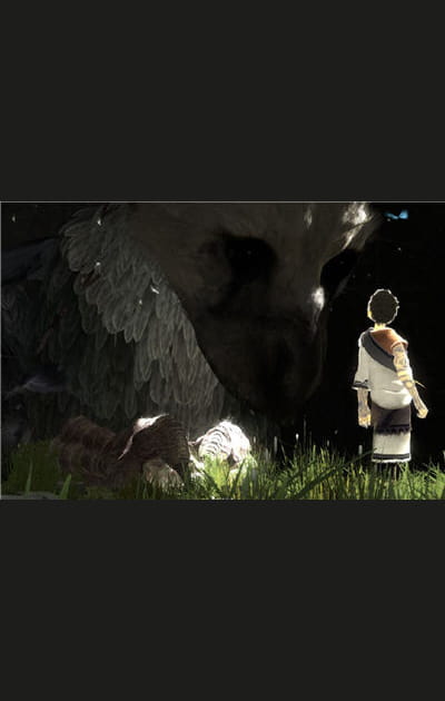 The Last Guardian, apr&egrave;s Ico et Shadow of The Colossus