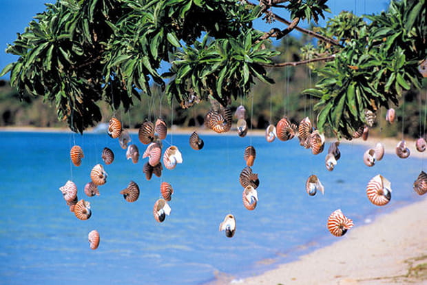 Coquillages et crustacées