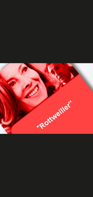 Les pires insultes de la campagne pr&eacute;sidentielle