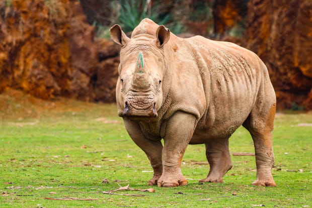 L'immense parc de la nature de Cabárceno