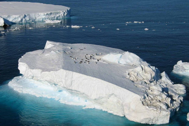 Des souvenirs inoubliables