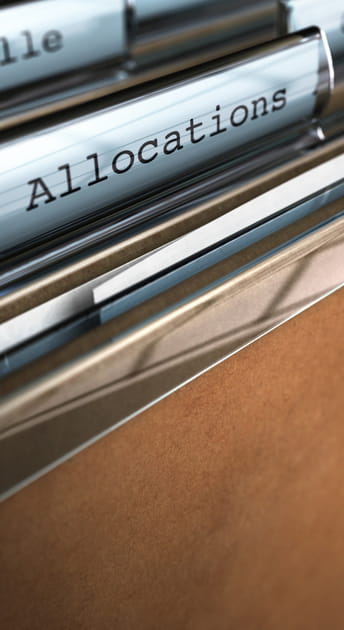 L'allocation personnalis&eacute;e au logement (APL)