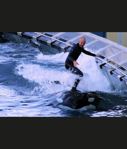 Surf sur les orques