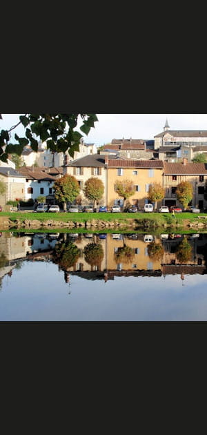 17- Limousin&nbsp;: + 2&nbsp;%