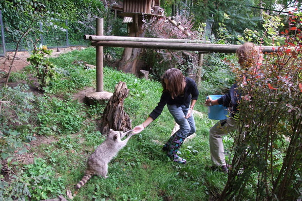 Salaire Soigneur Animalier Zoo De Beauval Soigneur d'un jour au ZooParc de Beauval