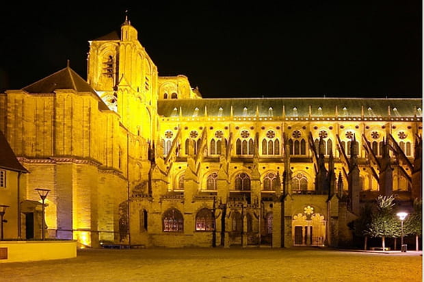 Promenade nuit et lumière