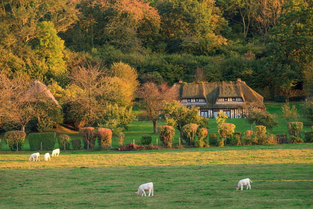 Le Marais Vernier, des paysages rougeoyants en Normandie