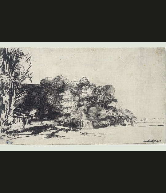 Le Bouquet d'arbres