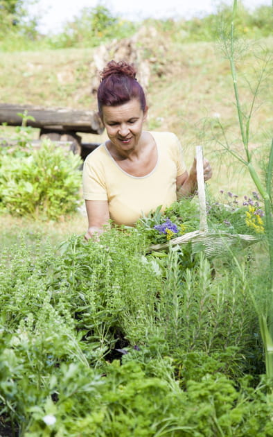 Comment faire des semis en pleine terre&nbsp;?