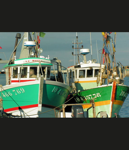 Dans le port de Boyardville