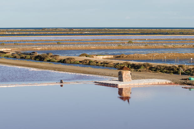Les salins de Gruissan, Aude
