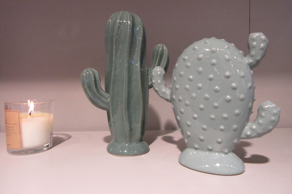 Les cactus