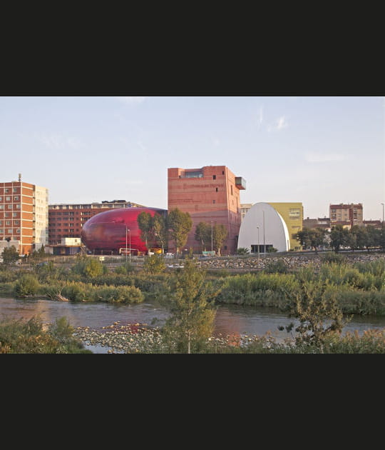 Le rose du Roussillon