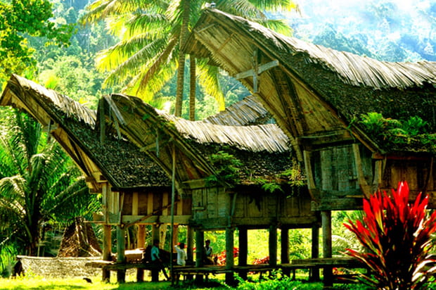 Habitations toradjas