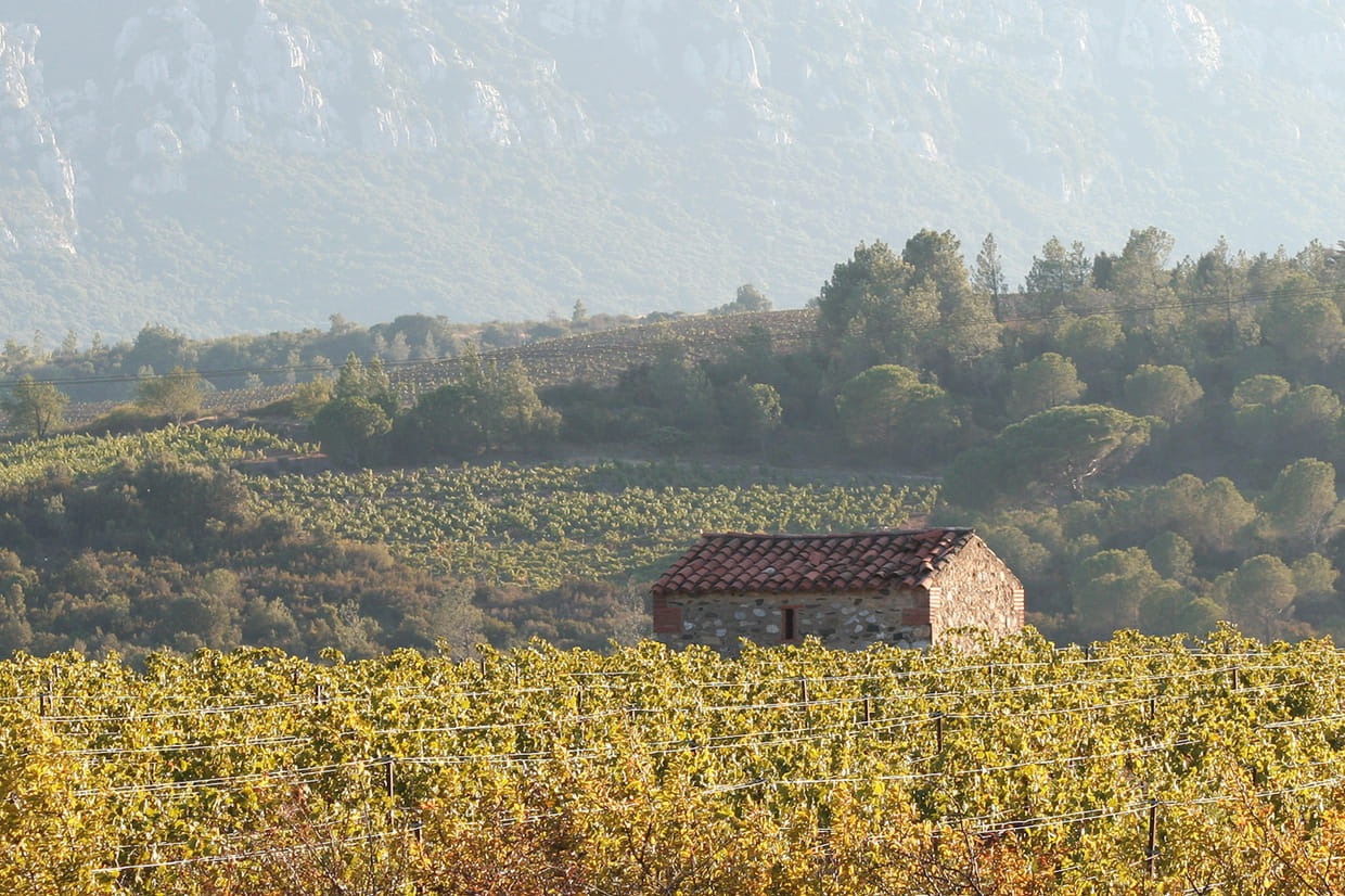 SaintPauldeFenouillet A voir, météo, monuments Guide de voyage