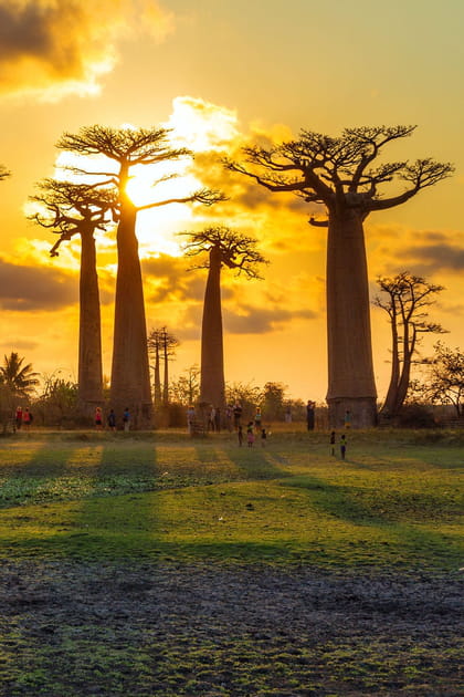 Madagascar, l'&icirc;le rouge