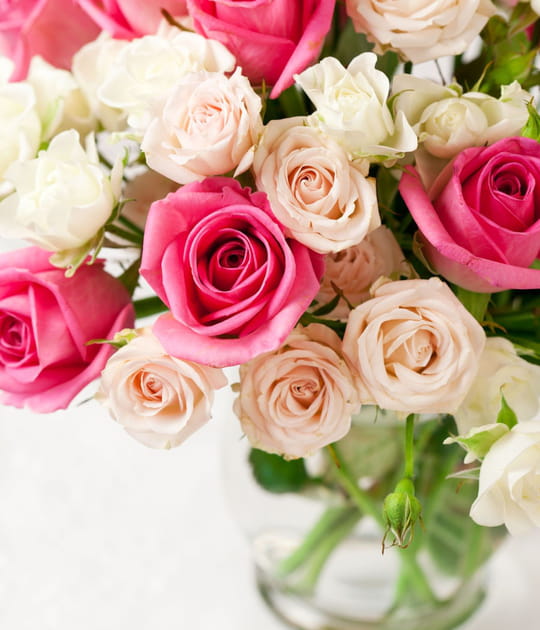 Mettre les tiges dans l'eau chaude