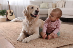 Je suis éducateur canin, voici les 5 races auxquelles je fais confiance autour de mes enfants