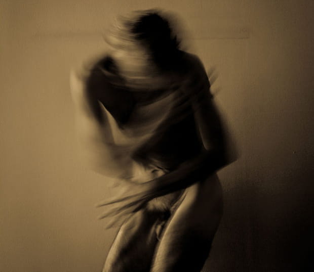 Les Rêves-Oiseaux de Frédéric Broders